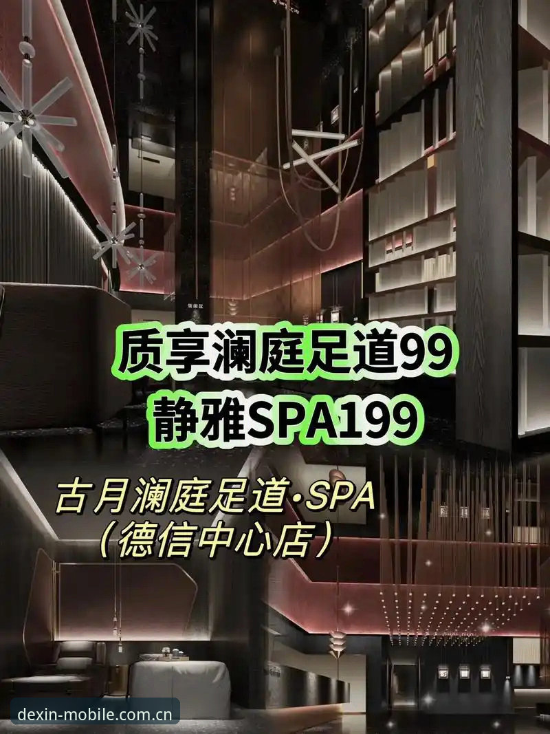 德信体育平台深度解析：移动端体验与安卓版更新的全面对比